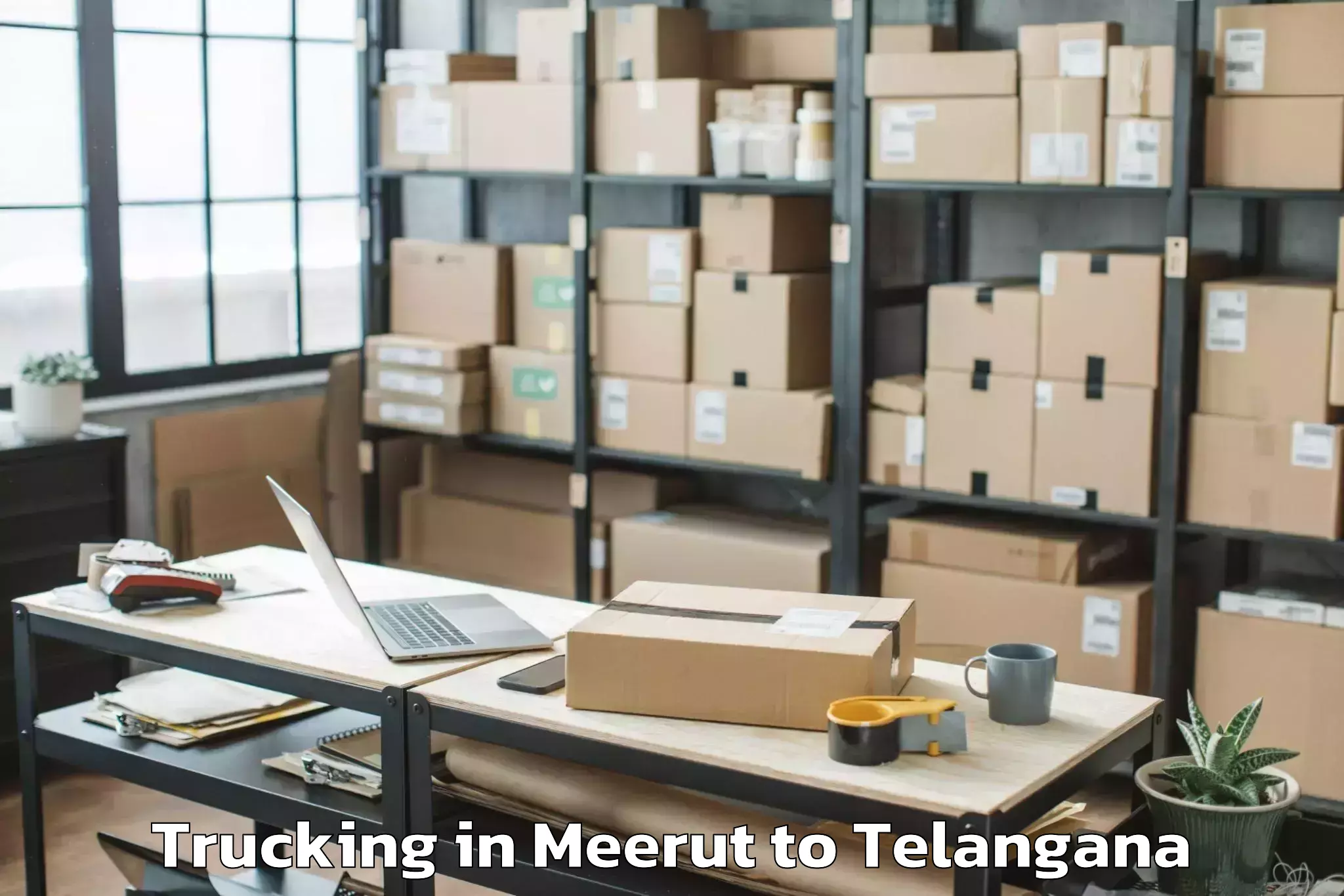 Meerut to Bejjanki Trucking Booking